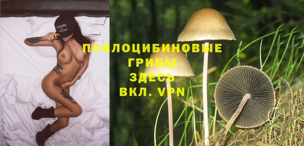 ALPHA PVP Аркадак