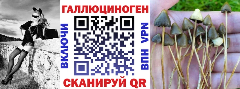 Псилоцибиновые грибы мицелий  Россошь 